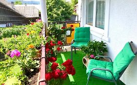 Apartament Vica
